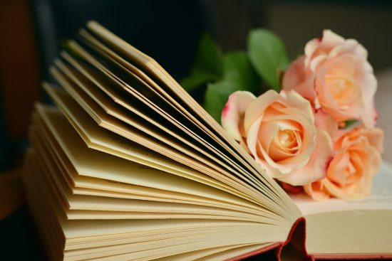 découvrez notre analyse approfondie des derniers livres parus, avec des critiques sincères et des recommandations pour tous les amateurs de lecture. ne manquez pas nos conseils pour choisir votre prochaine lecture captivante !